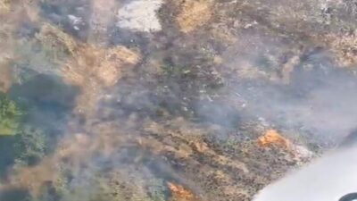 Bursa Pazaryeri'nde tarım alanında çıkan yangın, bölgedeki üretimi ve ekosistemi