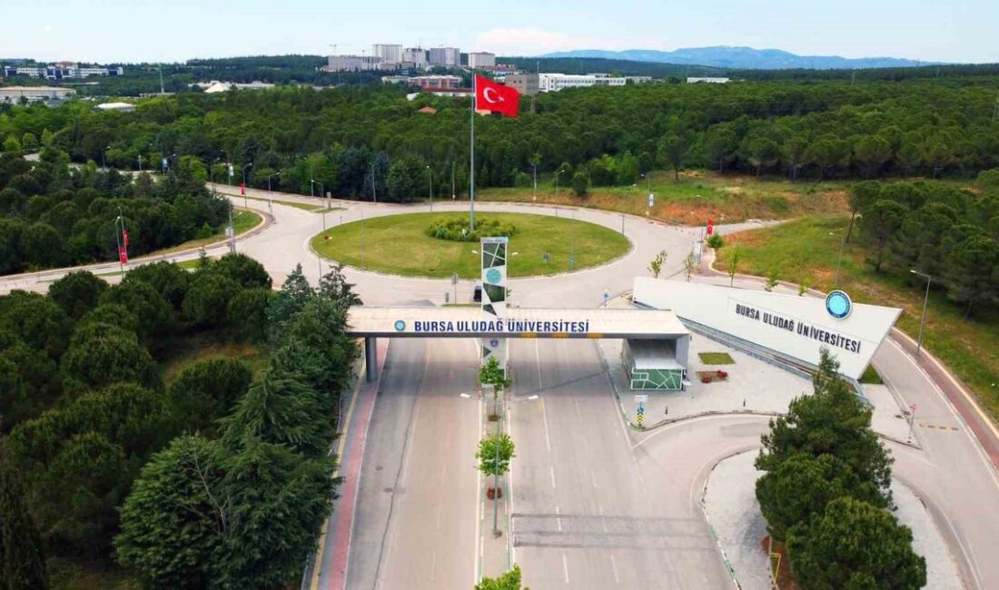 Bursa'da 3+1 İşletmede Mesleki Eğitim modeli uygulamasının detayları ve faydaları