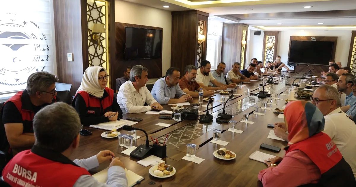 Bursa'da B-Reçete uygulamasının etkinliği ve sonuçları detaylı bir şekilde değerlendirilmiştir.