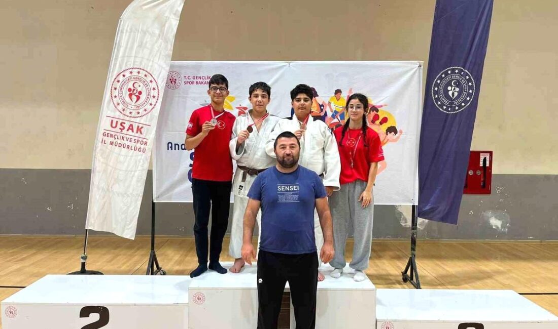 Bursa'da yaşanan büyük araba kazası hakkında detaylı bilgi, olayın nedenleri