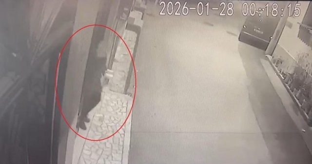 Bursa'da Cinayet ve Parçalama Olayı