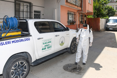 Bursa’da Haşereyle Savaş Süreci