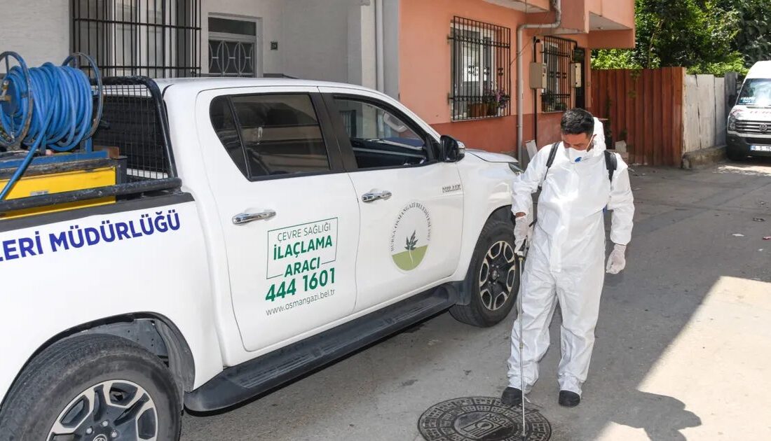 Bursa'da haşereyle mücadele sürecinin detayları, etkili yöntemler ve profesyonel çözümler