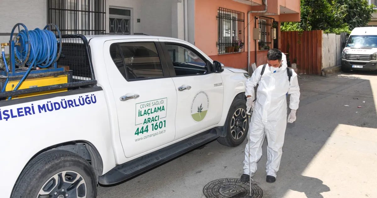 Bursa'da haşereyle mücadele sürecinin detayları, etkili yöntemler ve profesyonel çözümler