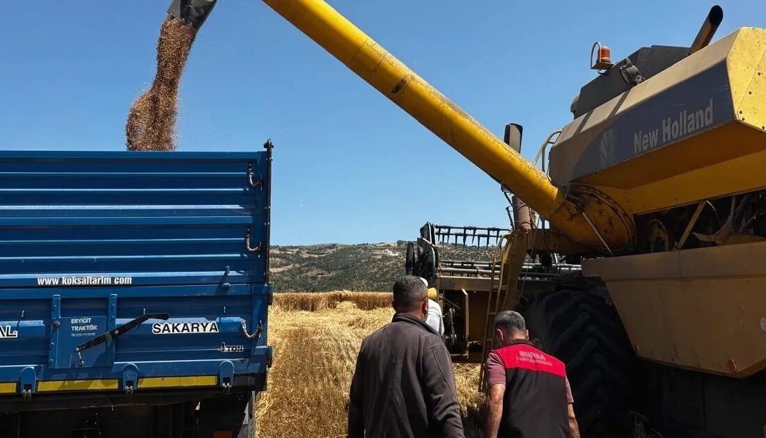 Bursa'da hububat hasadı döneminde denetimler artarak kalite ve verimliliğin sürdürülebilirliği