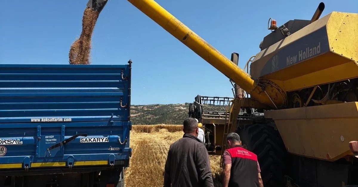Bursa'da hububat hasadı döneminde denetimler artarak kalite ve verimliliğin sürdürülebilirliği