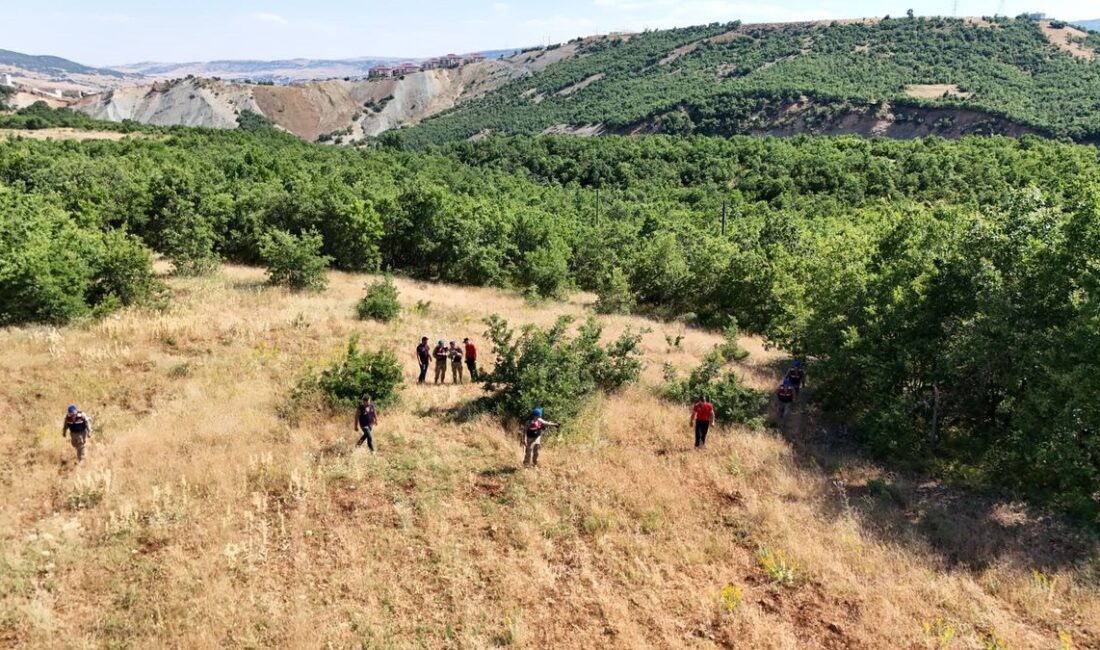 Bursa'da kayıp çocuk arama çalışmaları hakkında detaylı bilgiler, güncel gelişmeler