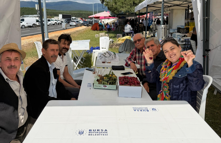 Bursa'da Kiraz Hasadı ve Üretici Destekleri