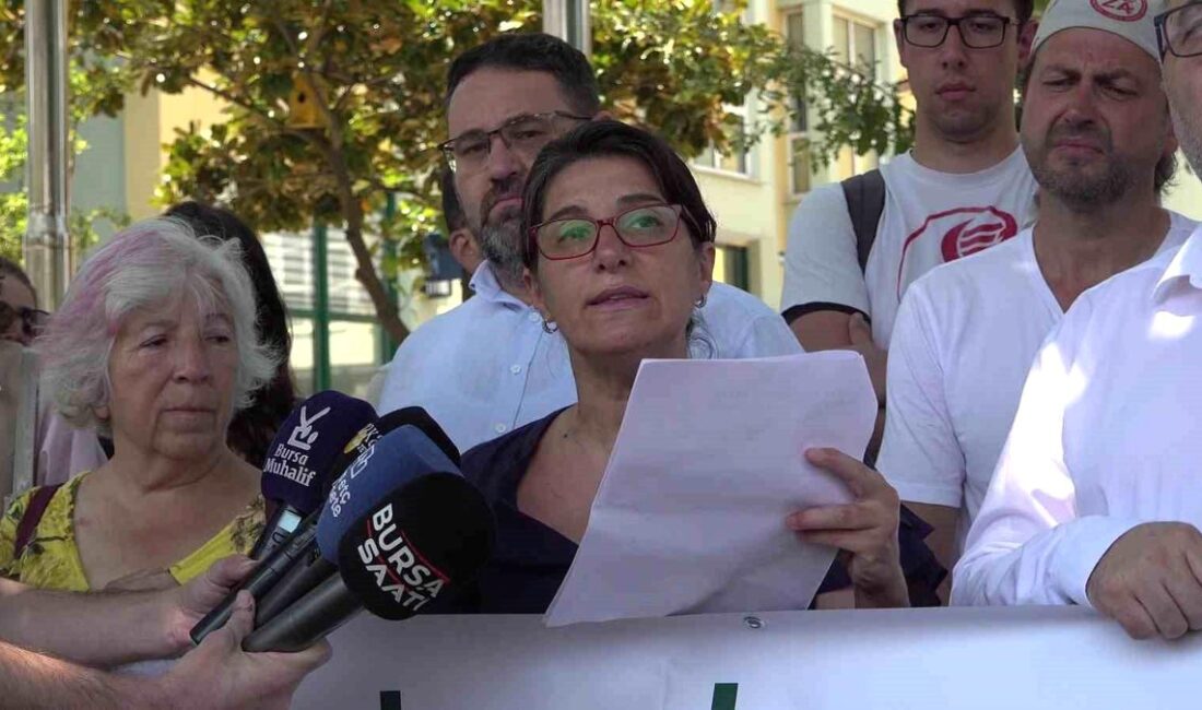 Bursa'da Kızıl Geyik av ihalesiyle ilgili tartışmalar ve detaylar, resmi