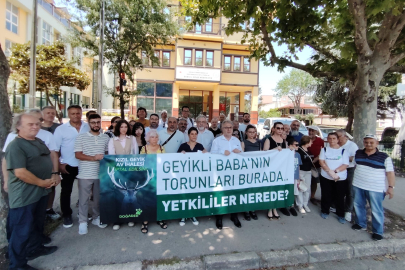 Bursa'da Kızıl Geyiklerin Avına Tepki
