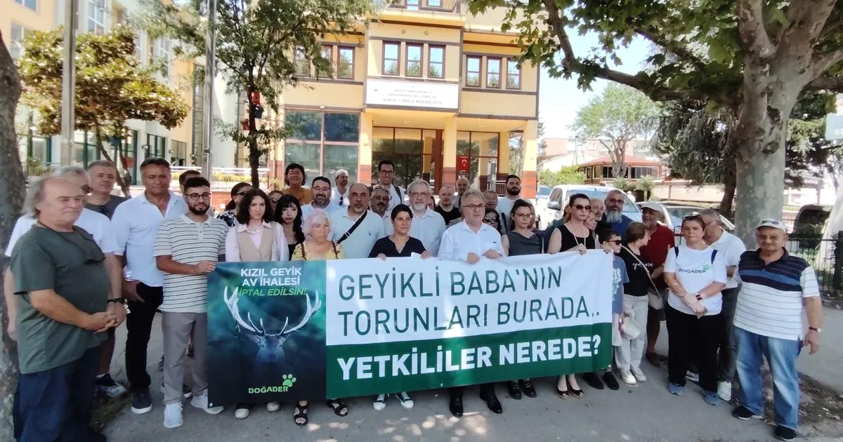 Bursa'da Kızıl Geyiklerin avına yönelik ilgi ve tepkileri detaylı inceleyen