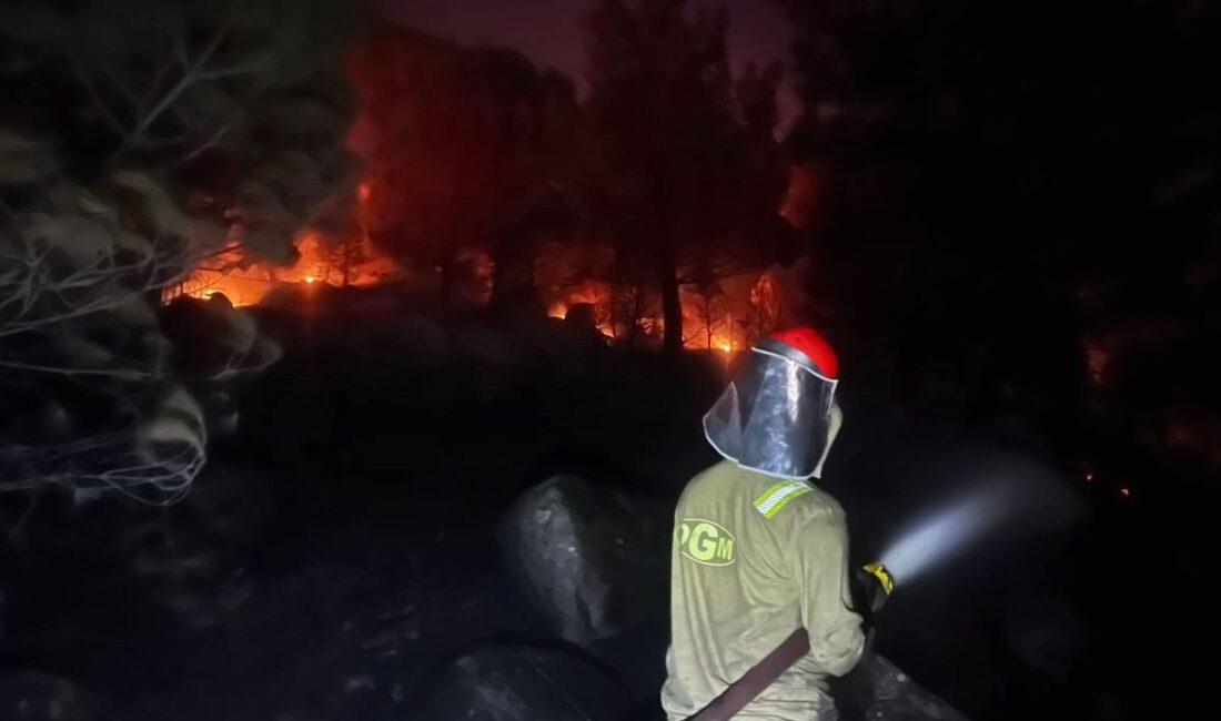Bursa'da çıkan orman yangını kontrolda. Yetkililer olası riskleri gidererek yangını