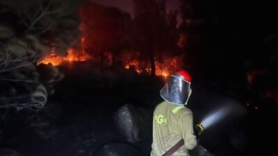 Bursa'da çıkan orman yangını kontrolda. Yetkililer olası riskleri gidererek yangını