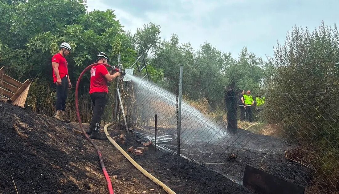 Bursa'da çıkan orman yangını kontrol altına alındı. Yetkililer olayla ilgili