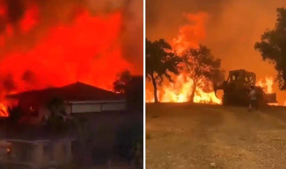 Bursa'da çıkan orman yangını kontrol altına alındı. Yetkililer, olayla ilgili