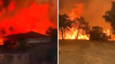Bursa'da çıkan orman yangını kontrol altına alındı. Yetkililer, olayla ilgili