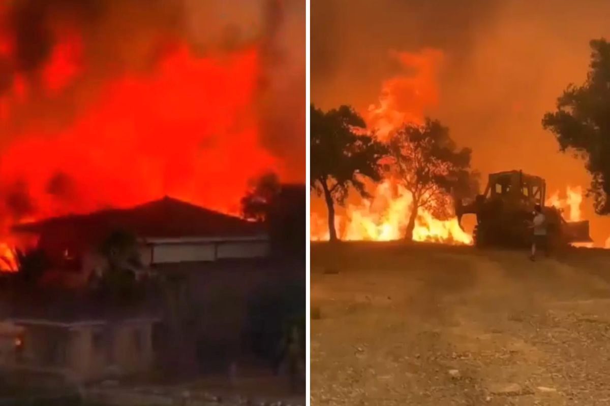Bursa'da çıkan orman yangını kontrol altına alındı. Yetkililer, olayla ilgili