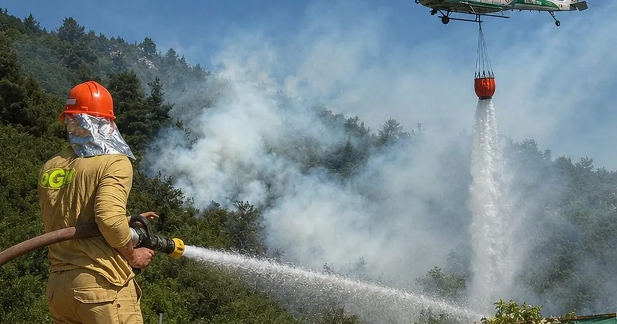 Bursa'da orman yangını riski hakkında önemli uyarılar, önlemler ve güncel