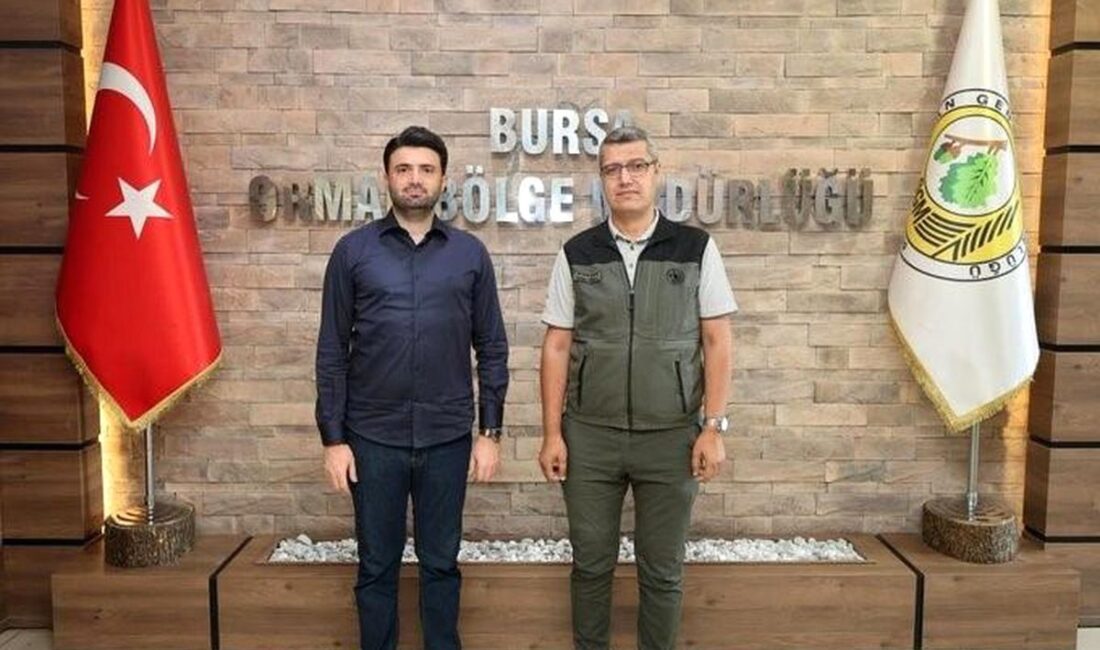 Bursa'da orman yangınlarına karşı yeni işbirliği ile yangınların önlenmesi ve