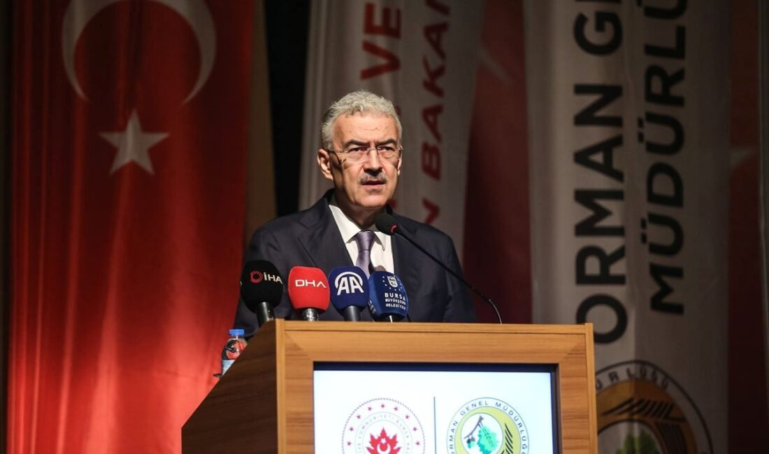 Bursa'da orman yangınlarıyla etkin mücadele yöntemleri, önlemler ve alınan tedbirler