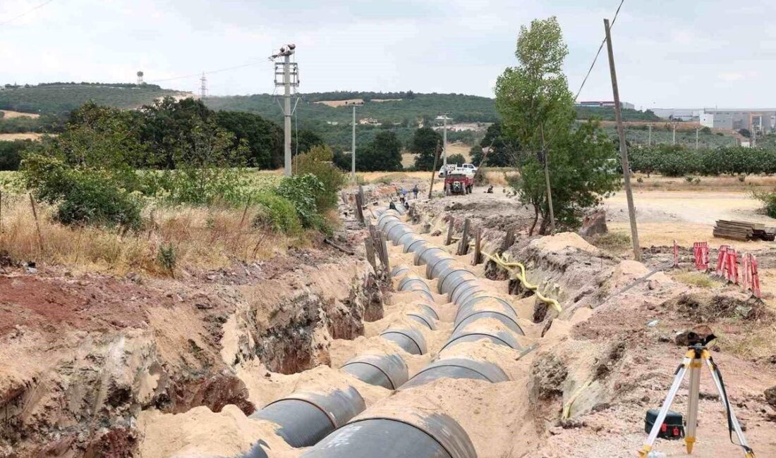 Bursa'da sağlık çalışanlarına yönelik düzenlenen teşekkür kutlamasıyla fedakarlıkları ve özverileri