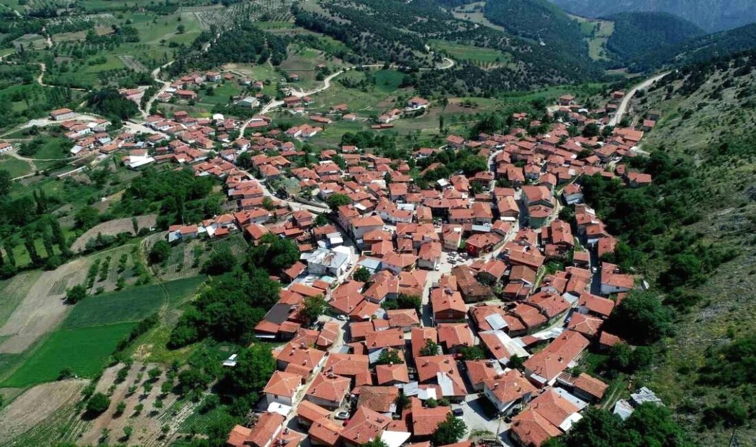 Bursa'da Sorgun Peyniri, coğrafi işaret tescili alarak bölgenin özgün ve