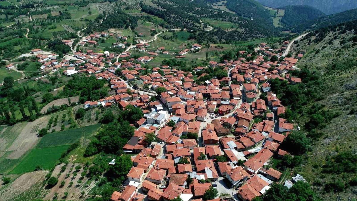 Bursa'da Sorgun Peyniri, coğrafi işaret tescili alarak bölgenin özgün ve