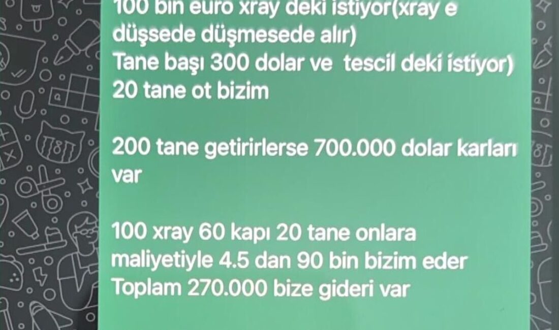 Bursa'da suç örgütlerine yönelik kapsamlı operasyonlar kapsamında detaylı bilgiler ve
