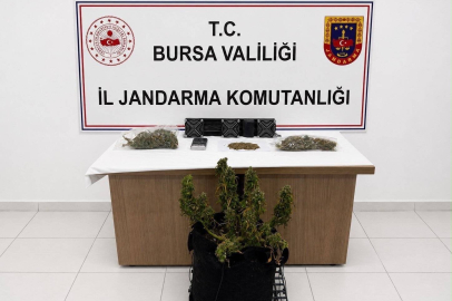 Bursa'da Uyuşturucu Operasyonu Sonuçları