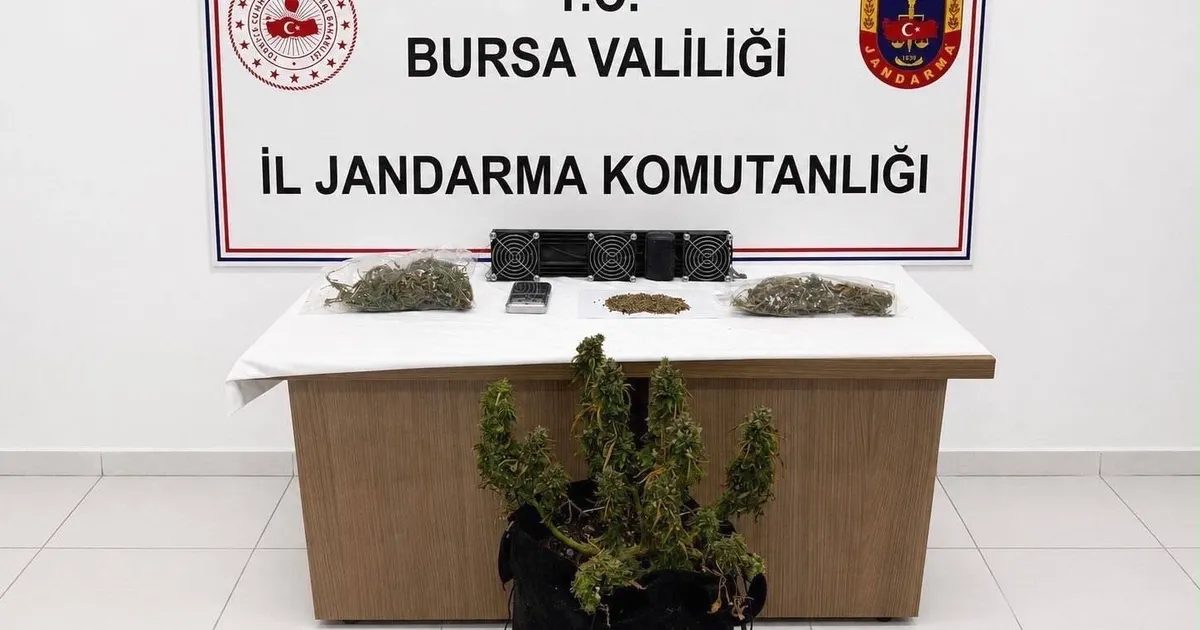 Bursa'da gerçekleştirilen uyuşturucu operasyonunun detayları ve sonuçları hakkında kapsamlı bilgi.