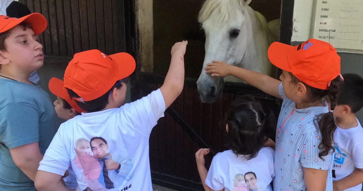 Bursa'da yaz okulu etkinlikleri, gençlere çeşitli eğitim ve eğlence imkanları