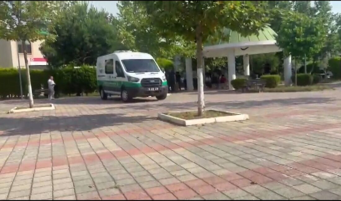 Bursa'da yüksek gerilim hattı faciası ile ilgili detaylar, kazanın etkileri