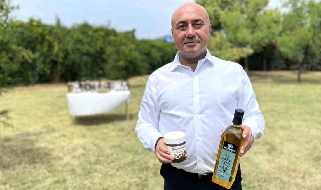 Bursa'da zeytin ve üretim sezonunun değerlendirmesi. Tarım sektöründeki gelişmeler, verimlilik