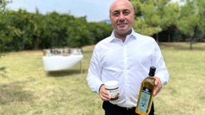 Bursa'da zeytin ve üretim sezonunun değerlendirmesi. Tarım sektöründeki gelişmeler, verimlilik