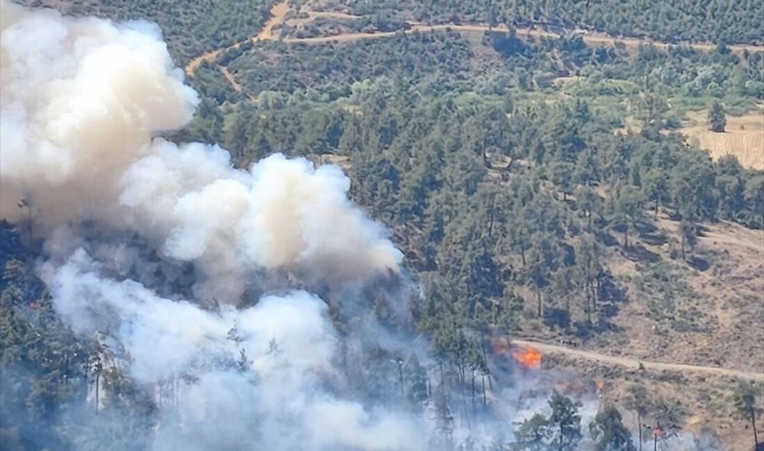 Büyükorhan'daki orman yangını kontrol altına alındı. Güvenlik ve iyileşme çalışmaları