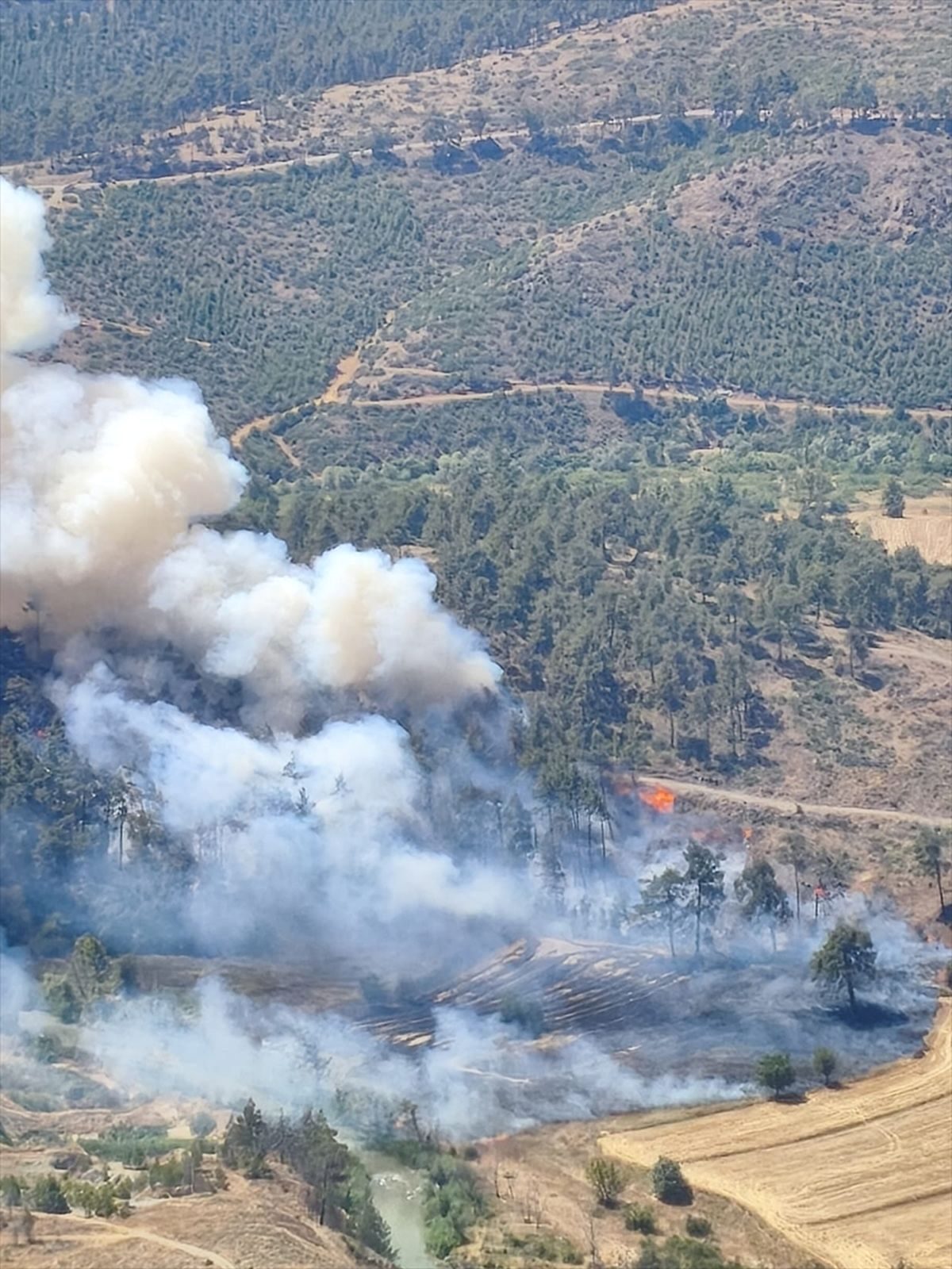 Büyükorhan'daki orman yangını kontrol altına alındı. Güvenlik ve iyileşme çalışmaları