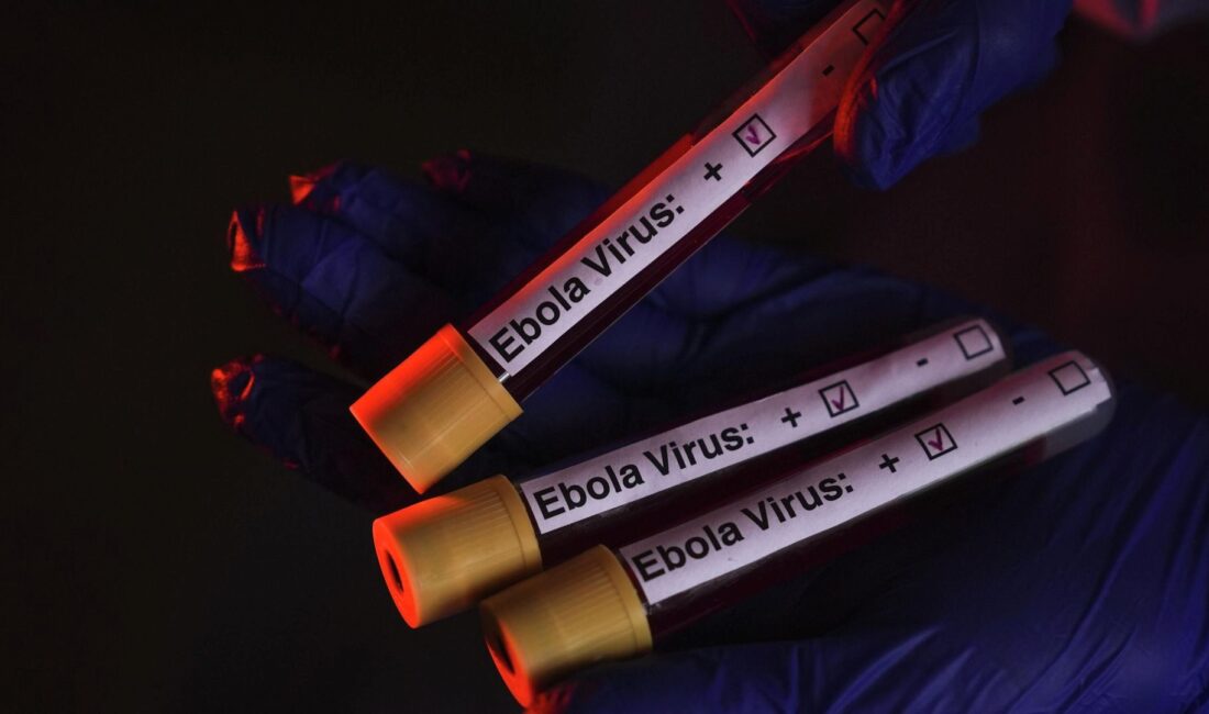 Ebola virüsü salgını yeniden artarak küresel sağlık riskini artırıyor. Güncel