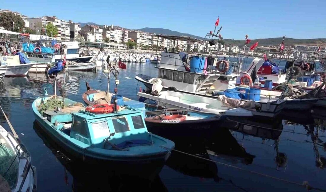 Gemlik'te balıkçılık sektöründe yaşanan zorluklar devam ediyor. Güncel gelişmeler ve