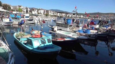 Gemlik'te balıkçılık sektöründe yaşanan zorluklar devam ediyor. Güncel gelişmeler ve