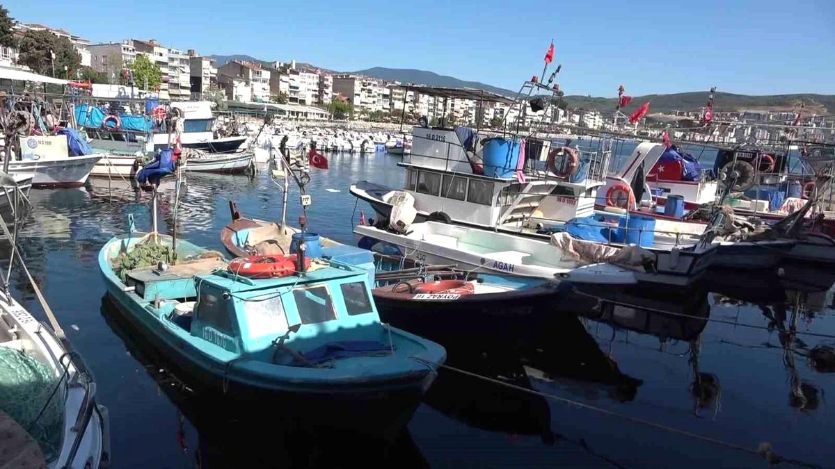 Gemlik'te balıkçılık sektöründe yaşanan zorluklar devam ediyor. Güncel gelişmeler ve