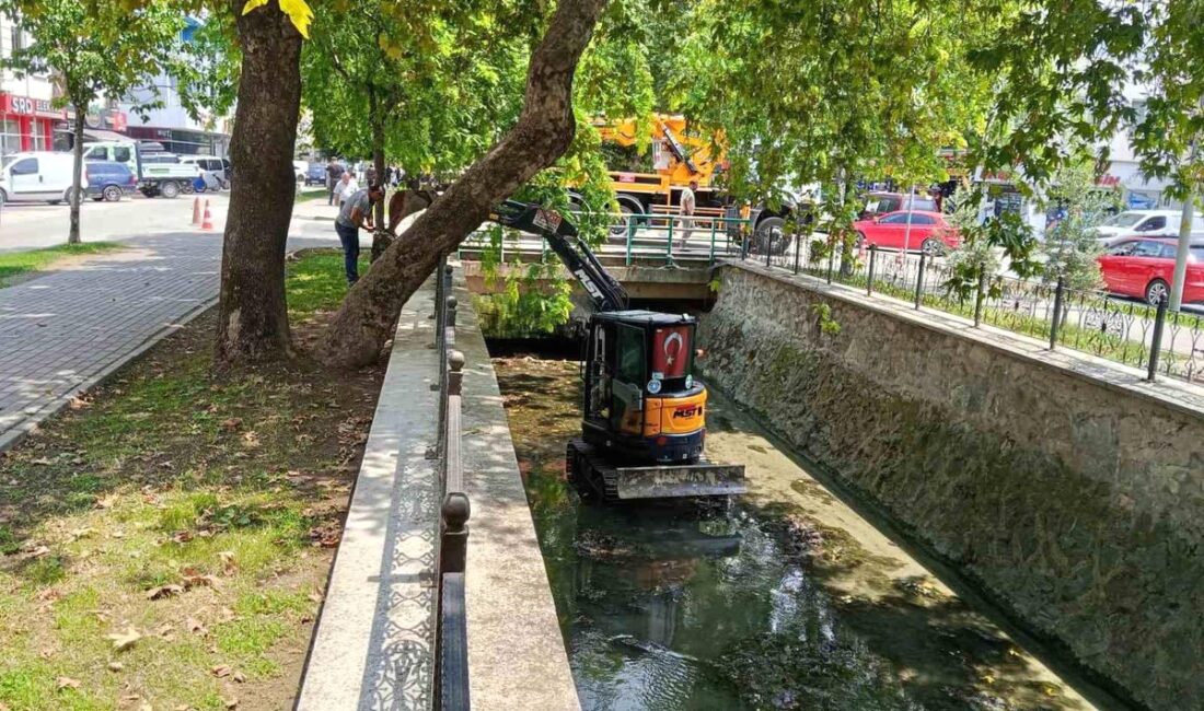 Gemlik'te dere temizlik çalışmaları başladı. Çalışmalar, sel riskini azaltmak ve