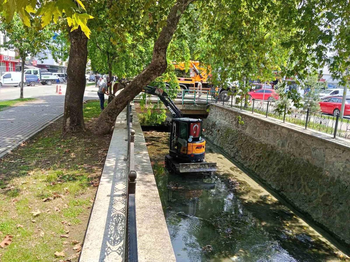 Gemlik'te dere temizlik çalışmaları başladı. Çalışmalar, sel riskini azaltmak ve