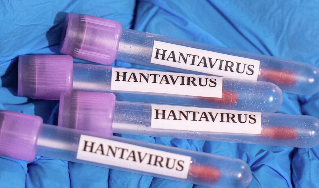 Hantavirüs salgını sona erdi! Sağlık yetkilileri müjdeyi verdi, güvende olduğunuzu