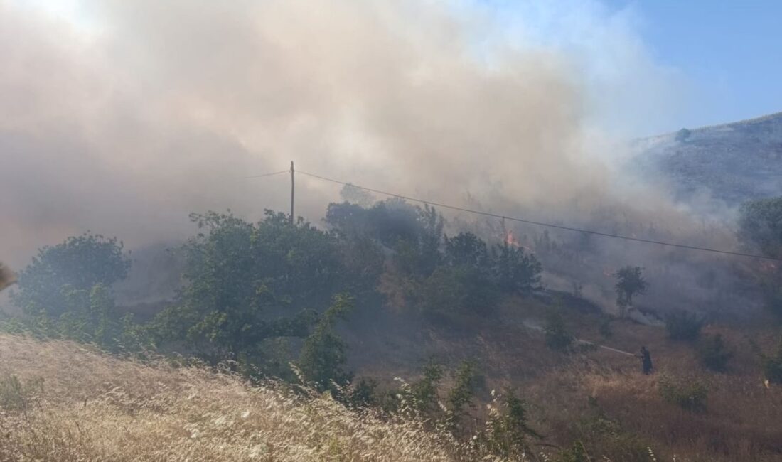 İnegöl'de güneş paneli yangınıyla ilgili detaylı bilgi ve yangının nedenleri,