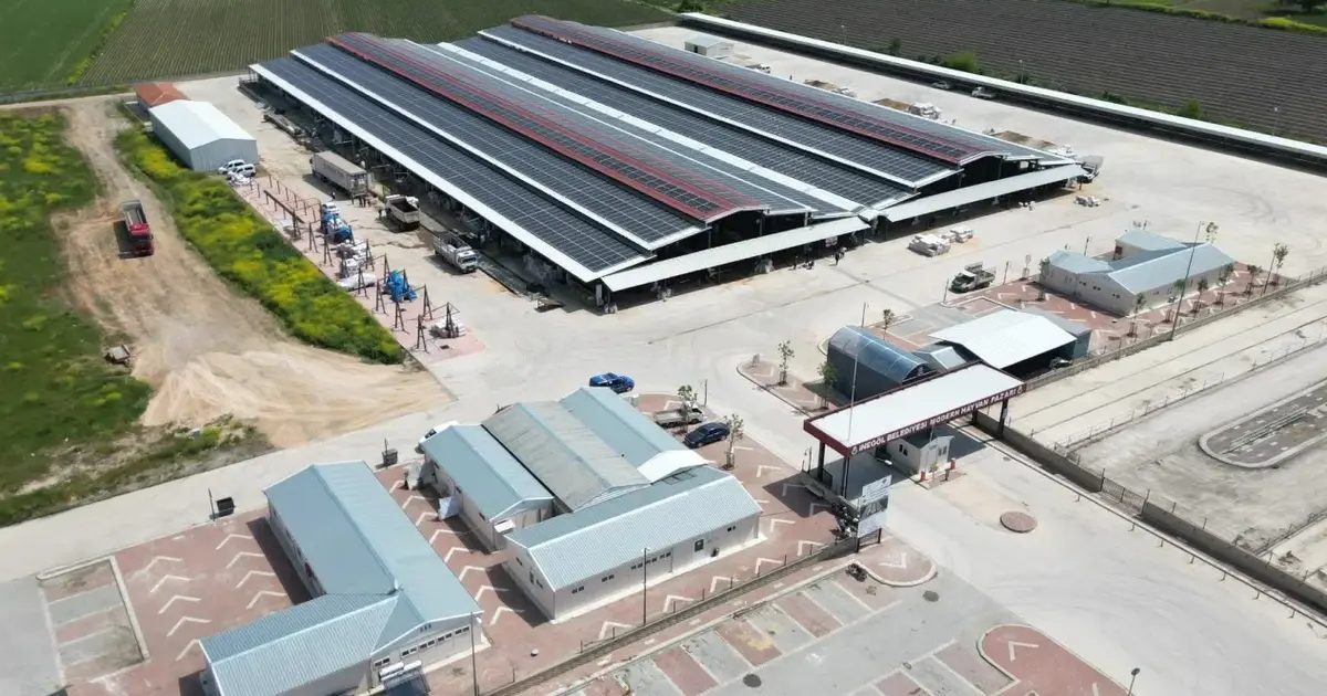 İnegöl'de hayvan pazarında şap hastalığı önlemleri hakkında detaylı bilgiler ve