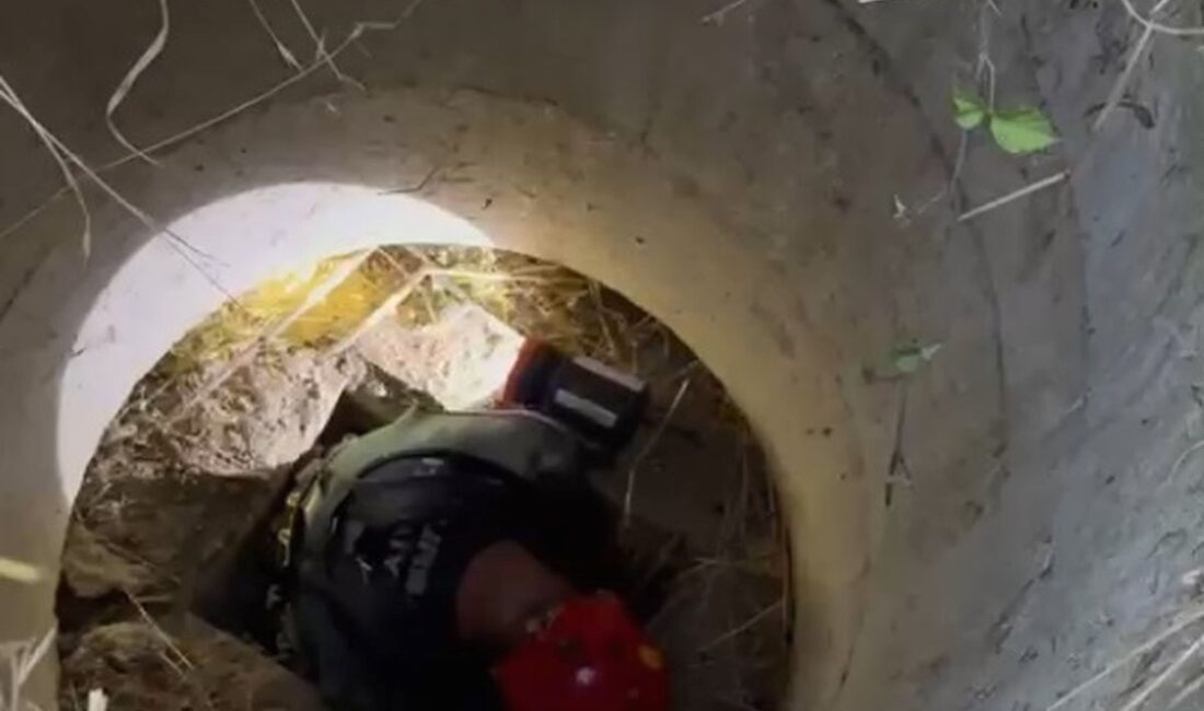İnegöl'de keçi rögara düştü, uzman ekipler tarafından kurtarılarak sağlık ve