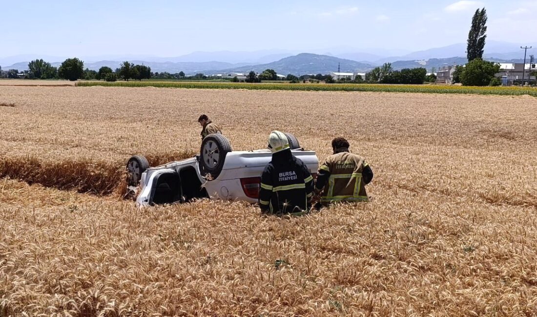 İnegöl'de otomobilin tarlaya uçması sonucu sürücü yaralandı. Olayla ilgili detaylar