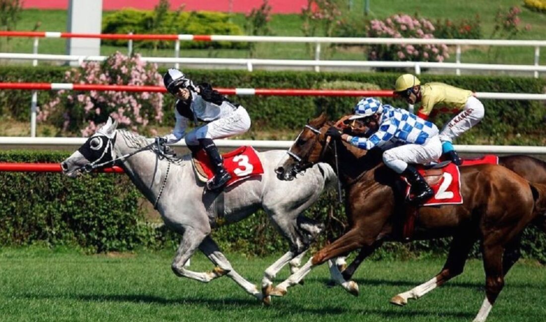 Jokeyler yarışları boykot ediyor, çalışma koşulları ise gün sayıyor. Güncel