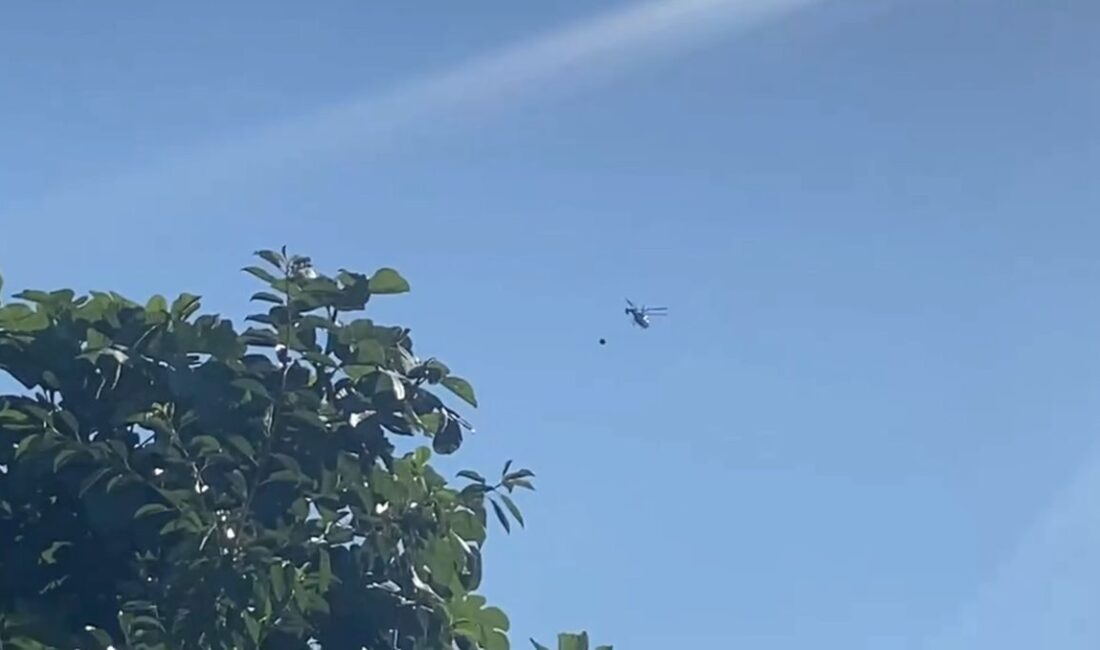 Kestel'de Otluk Alanda çıkan yangın, geniş çapta etkili olup, yetkililer