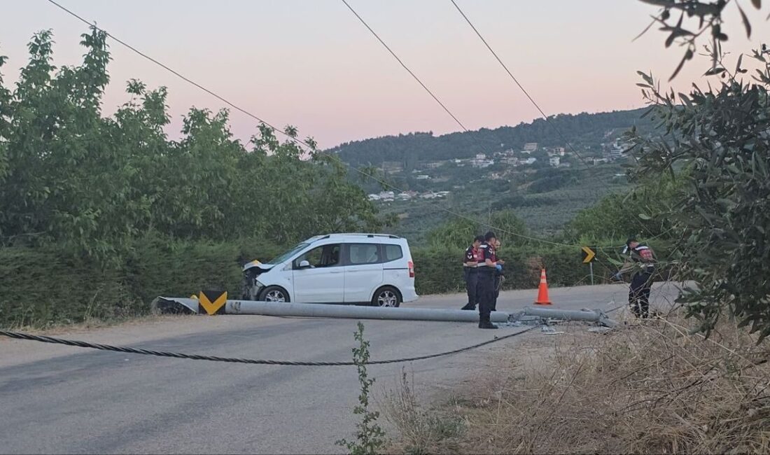 Mudanya'da elektrik çarpması sonrası yaşanan hatalar ve ölümler hakkında detaylı